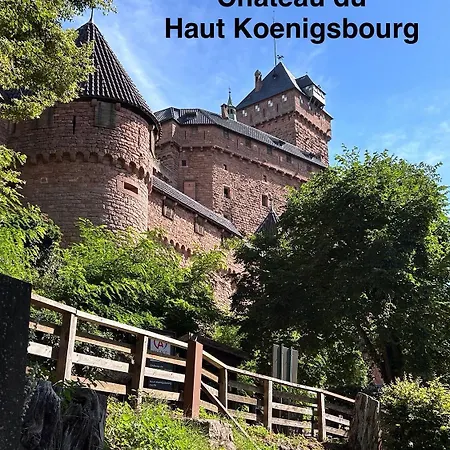 A L'ombre Du Clocher 別荘 Mackenheim